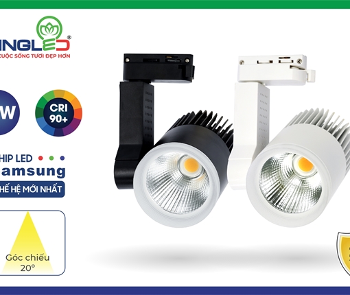 den-led-roi-ray-beryl-20w