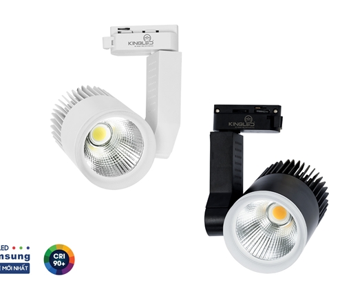 den-led-roi-ray-beryl-kingled